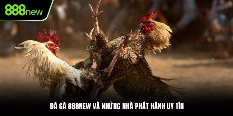 Đá gà 888NEW và những nhà phát hành uy tín