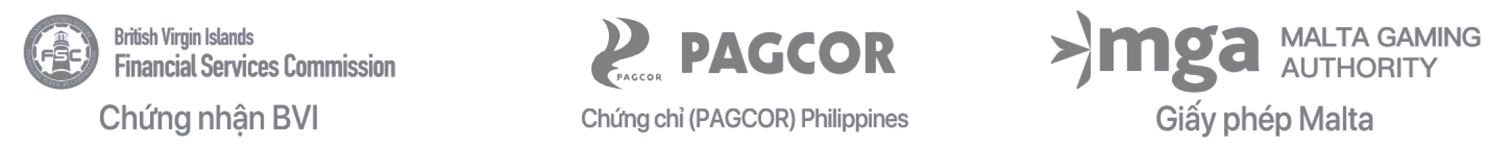 giay-phep-ca-cuoc