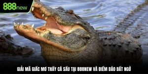 Mơ Thấy Cá Sấu