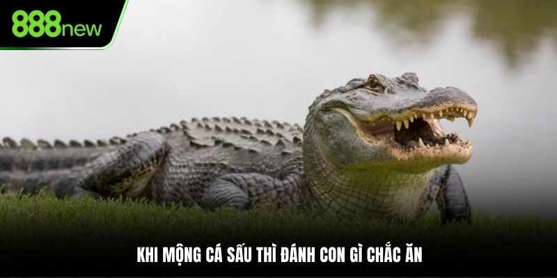 Khi mộng cá sấu thì đánh con gì chắc ăn