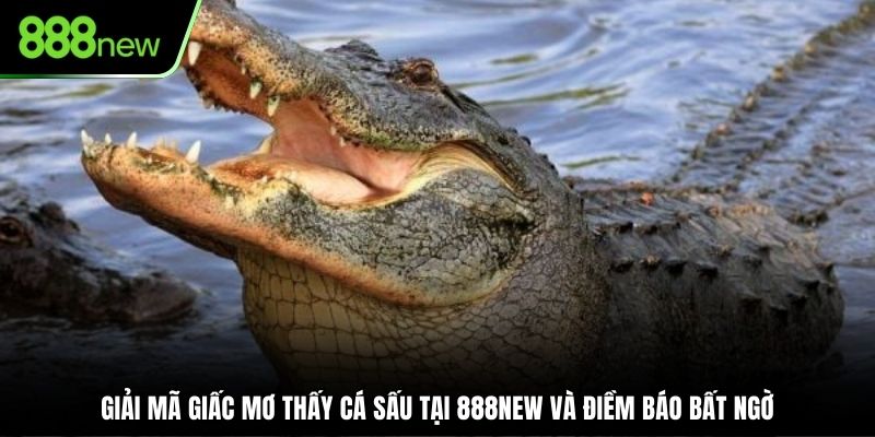 Mơ Thấy Cá Sấu