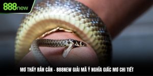 Mơ thấy rắn cắn