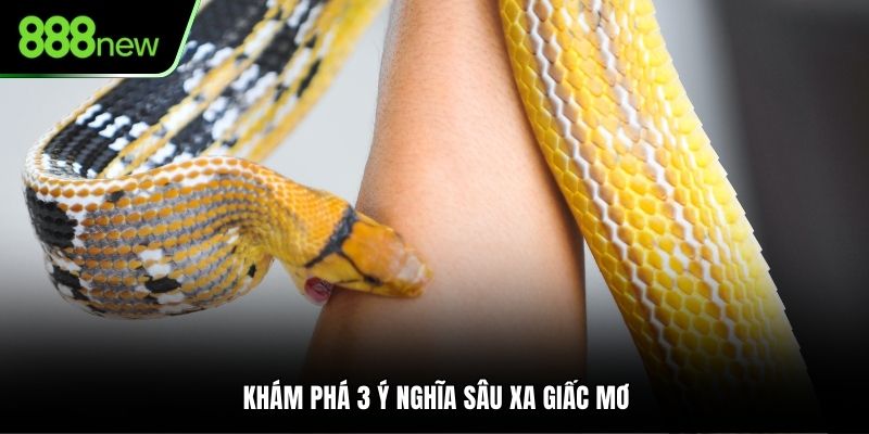 Khám phá 3 ý nghĩa sâu xa giấc mơ