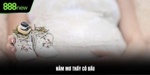Nằm Mơ Thấy Có Bầu