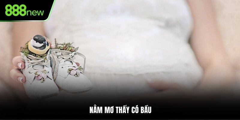 Nằm Mơ Thấy Có Bầu